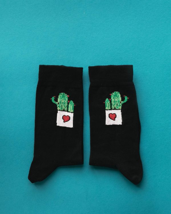 Шкарпетки «Кактус»